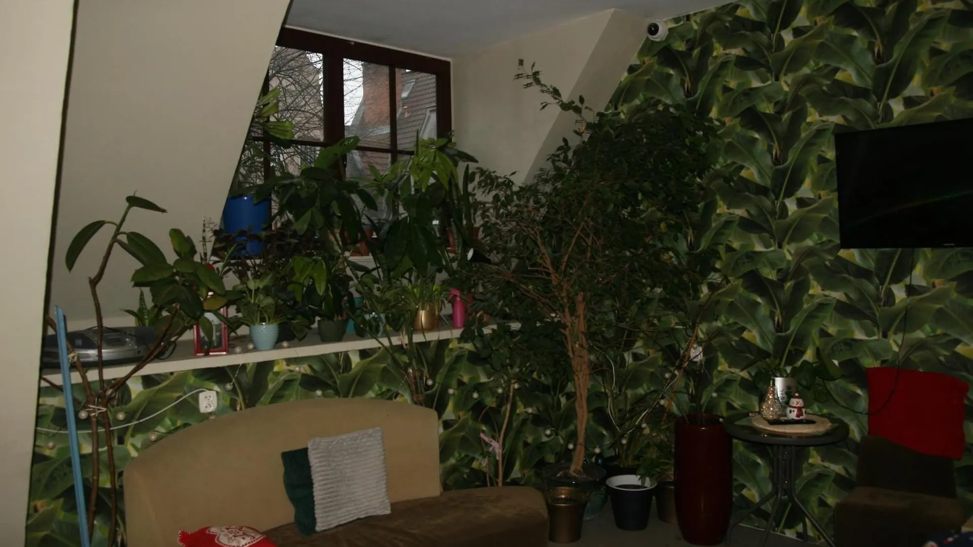 Hostel Universus Gdańsk
